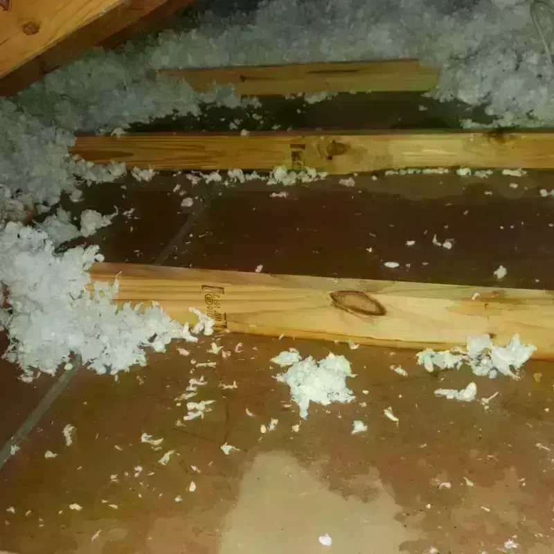 Attic Water Damage in Lincoln, ME