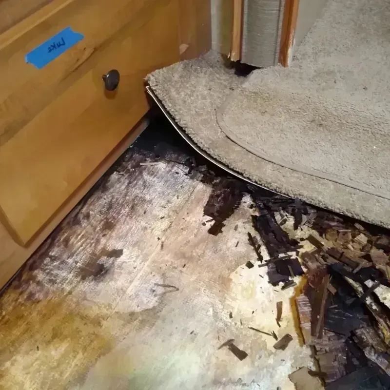 Best Wood Floor Water Damage Service in Lincoln, ME